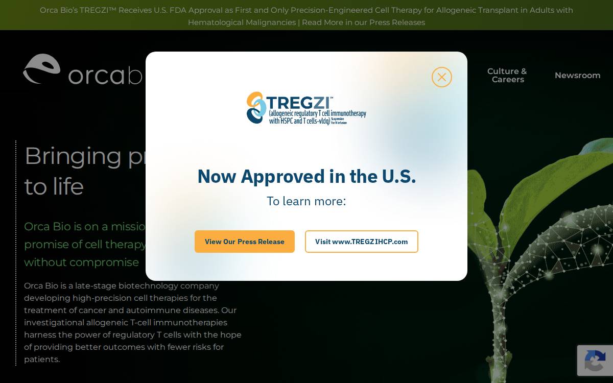 Orca Bio website preview