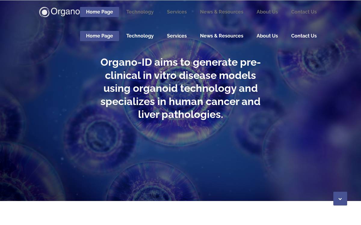 Organo-ID website preview