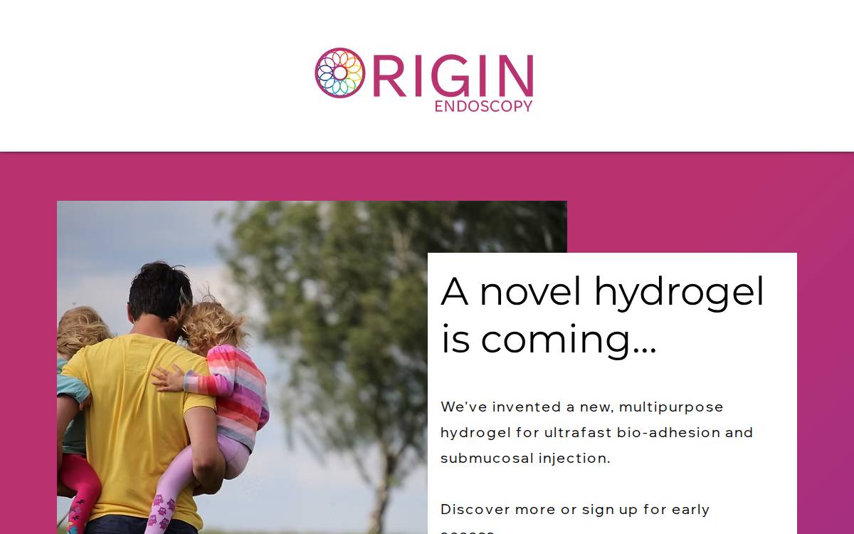 Origin Endoscopy website preview