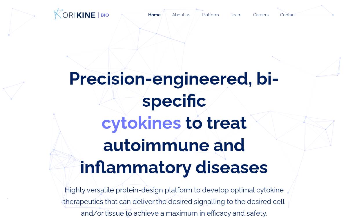 Orikines’s Website website preview