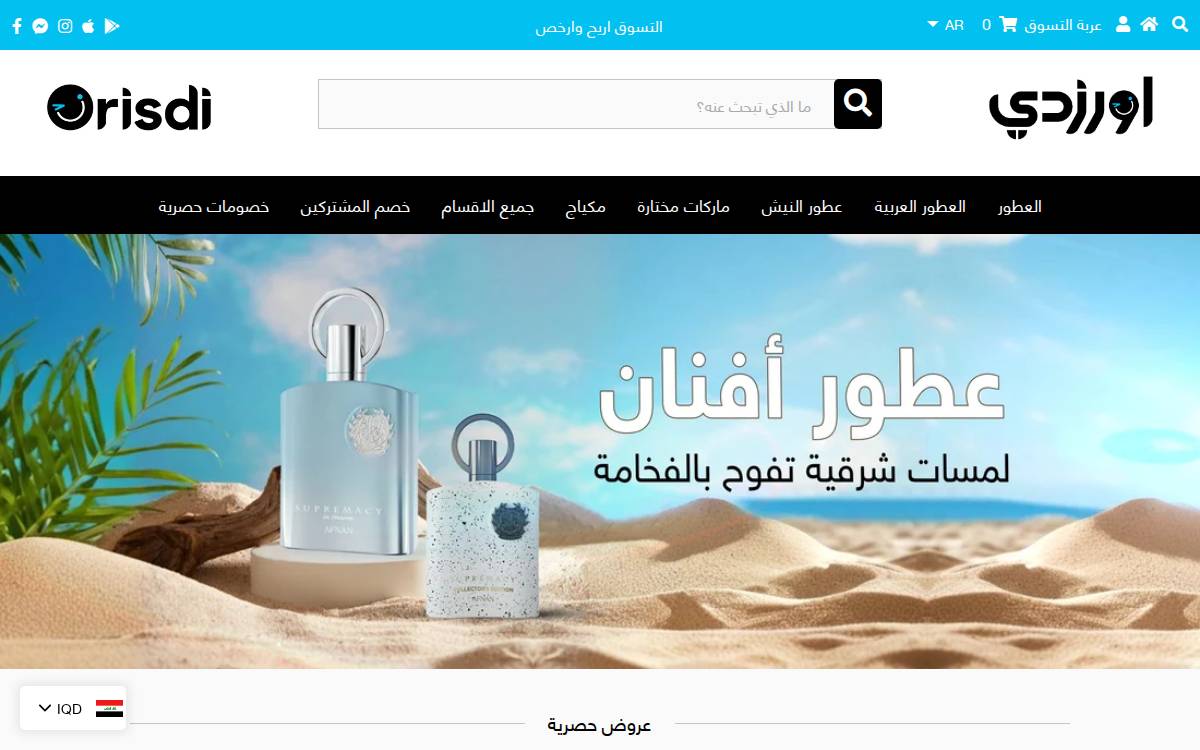 Orisdi website preview