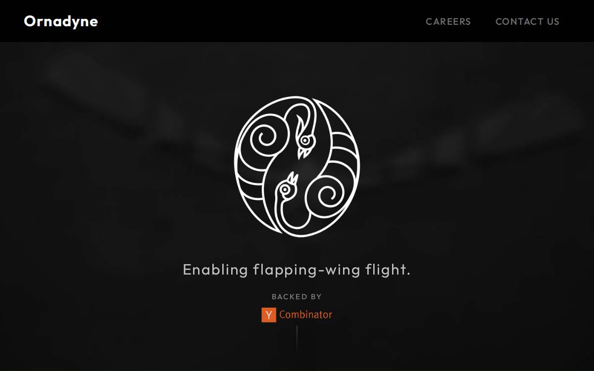 Ornadyne website preview