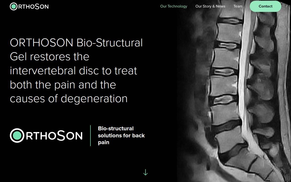 Orthoson website preview