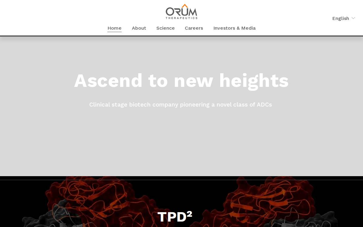 Orum Therapeutics Venture Capital website preview