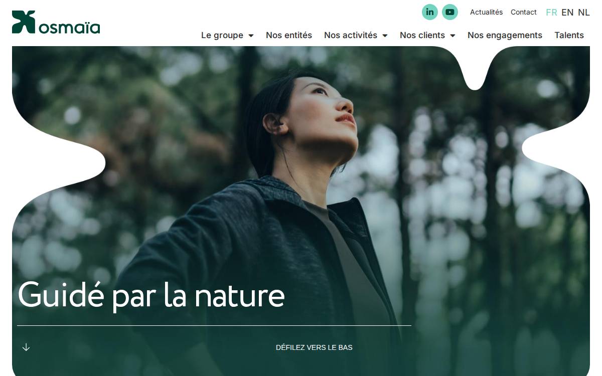 Osmaïa website preview