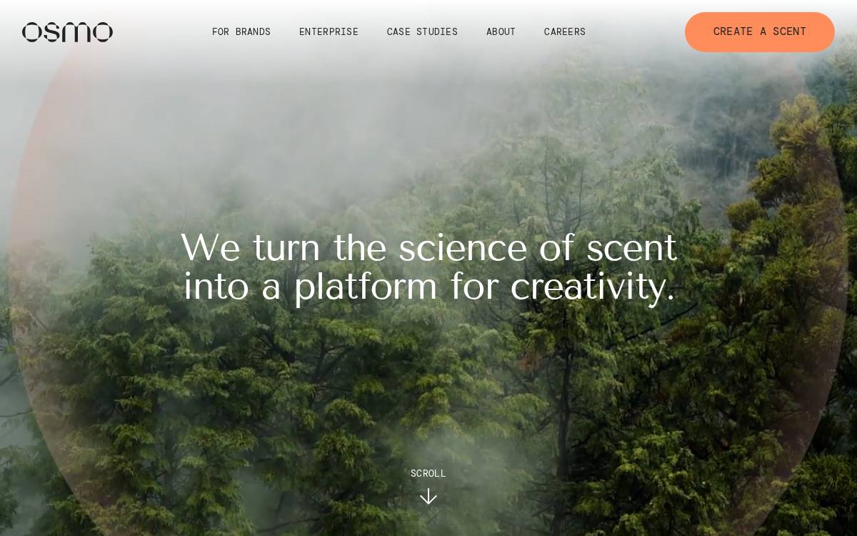 Osmo website preview