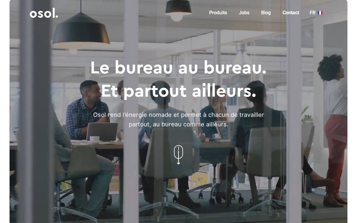 Osol website preview