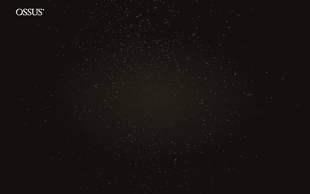 Ossus website preview