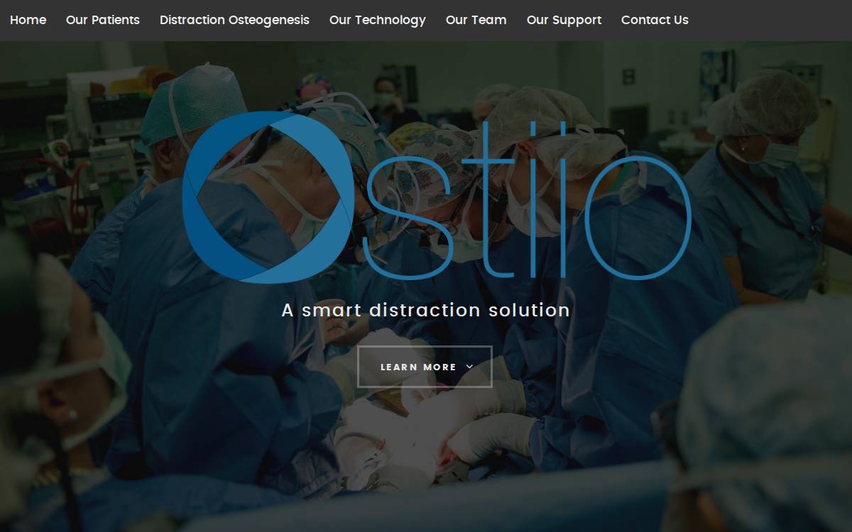 Ostiio website preview