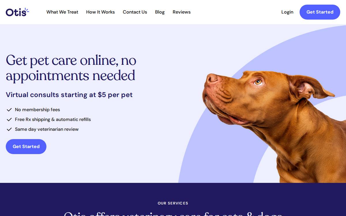 Otis website preview