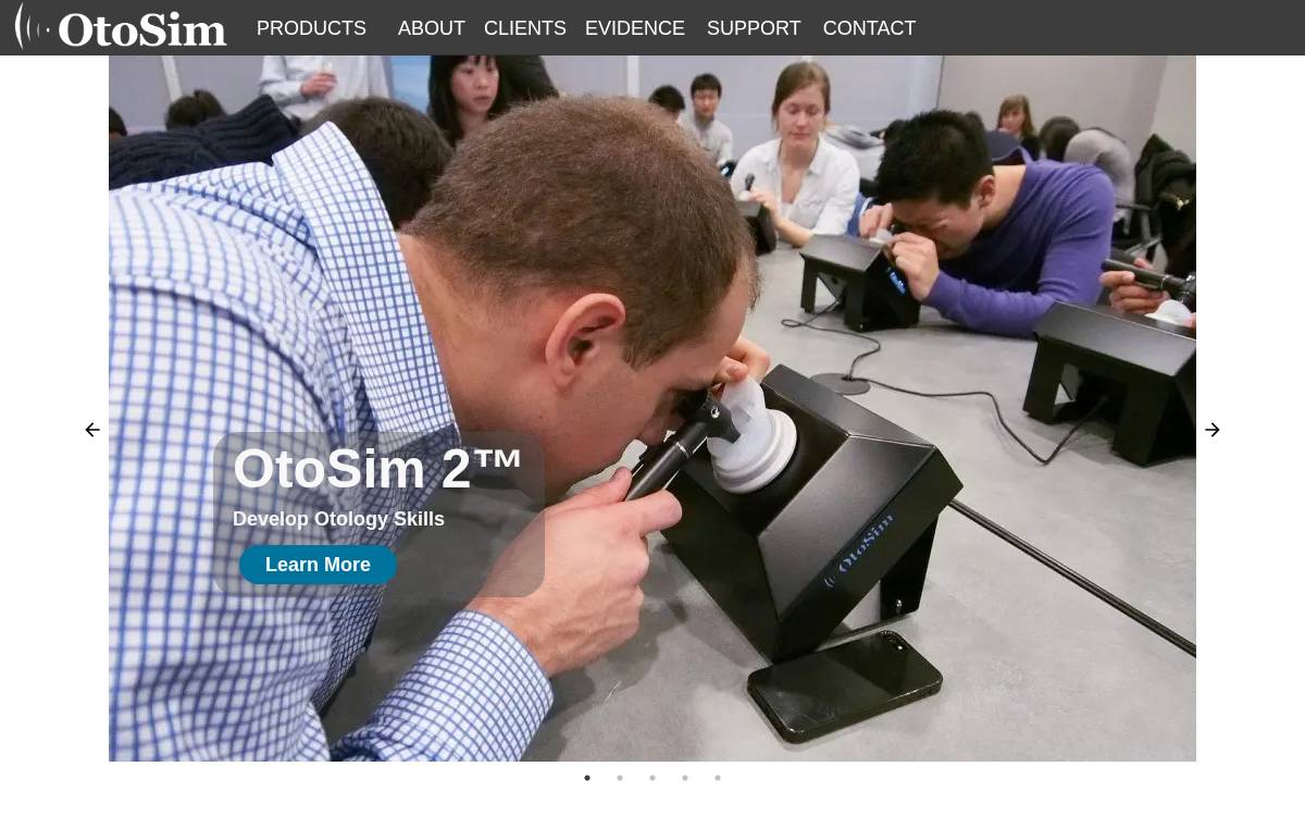 Otosim website preview