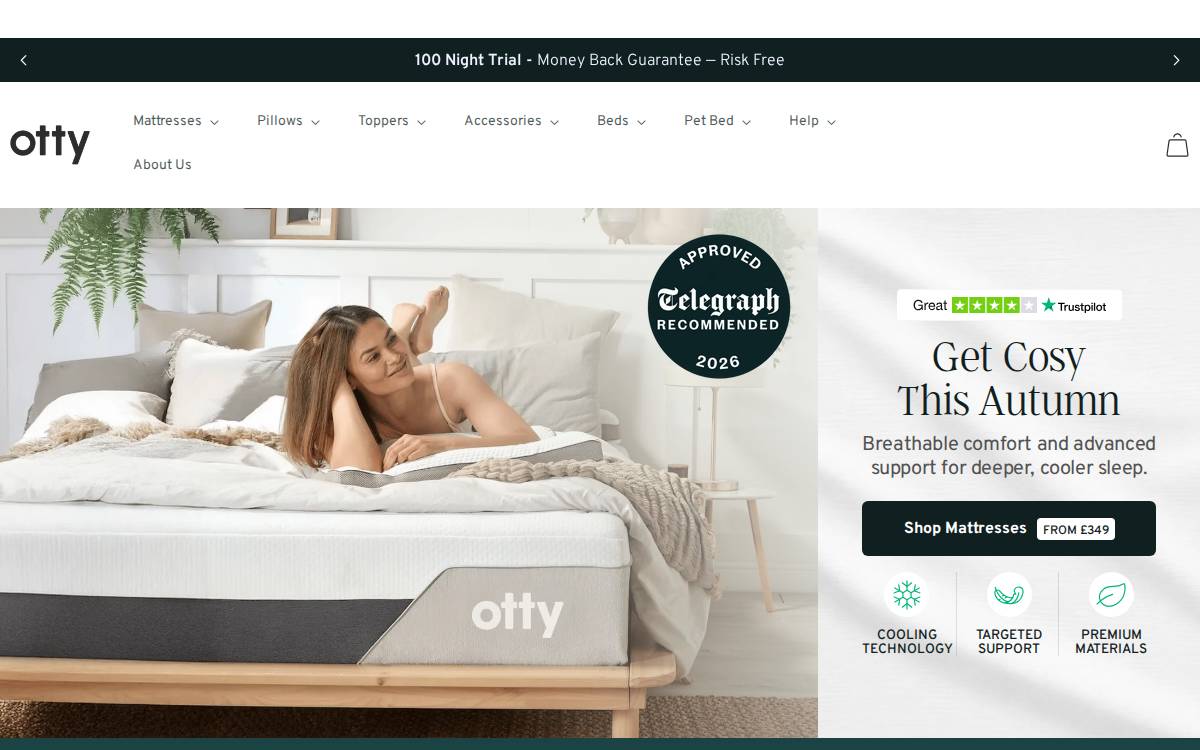 Otty website preview