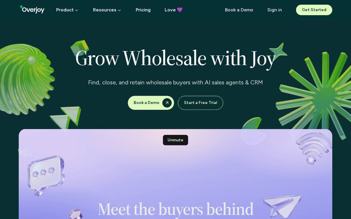 Overjoy website preview