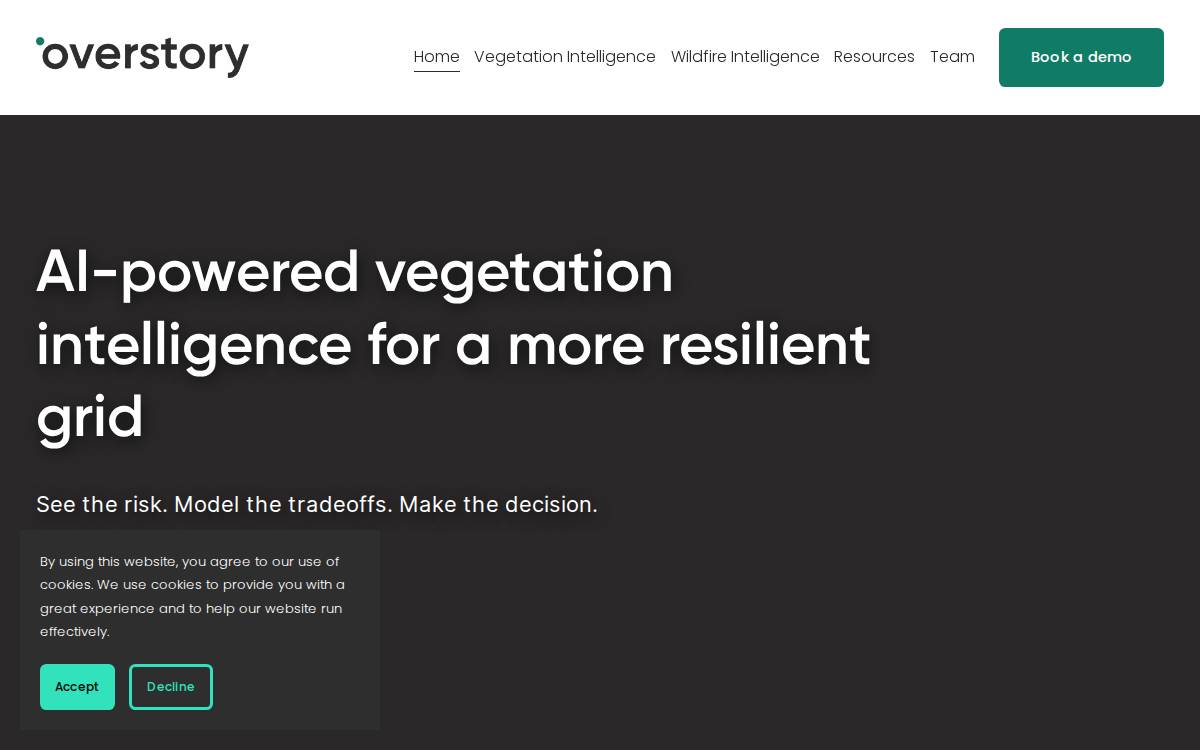 Overstory website preview