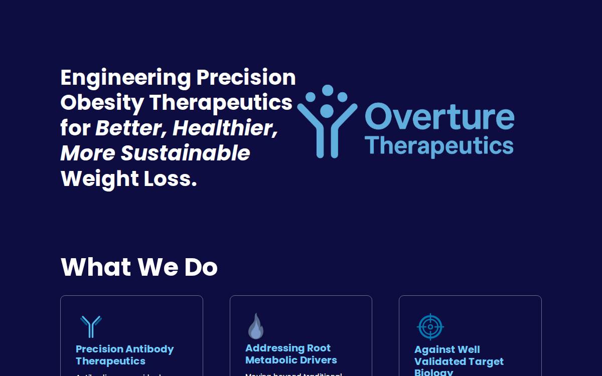 Overture Tx website preview