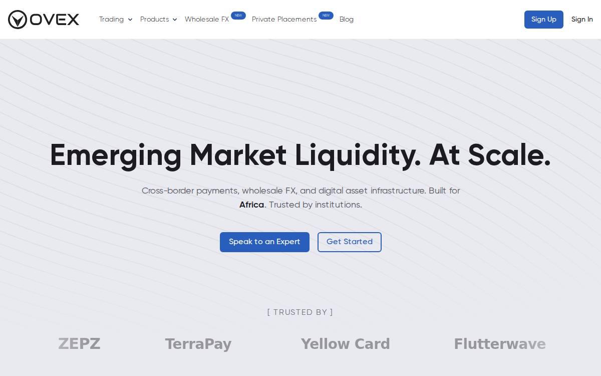 Ovex website preview