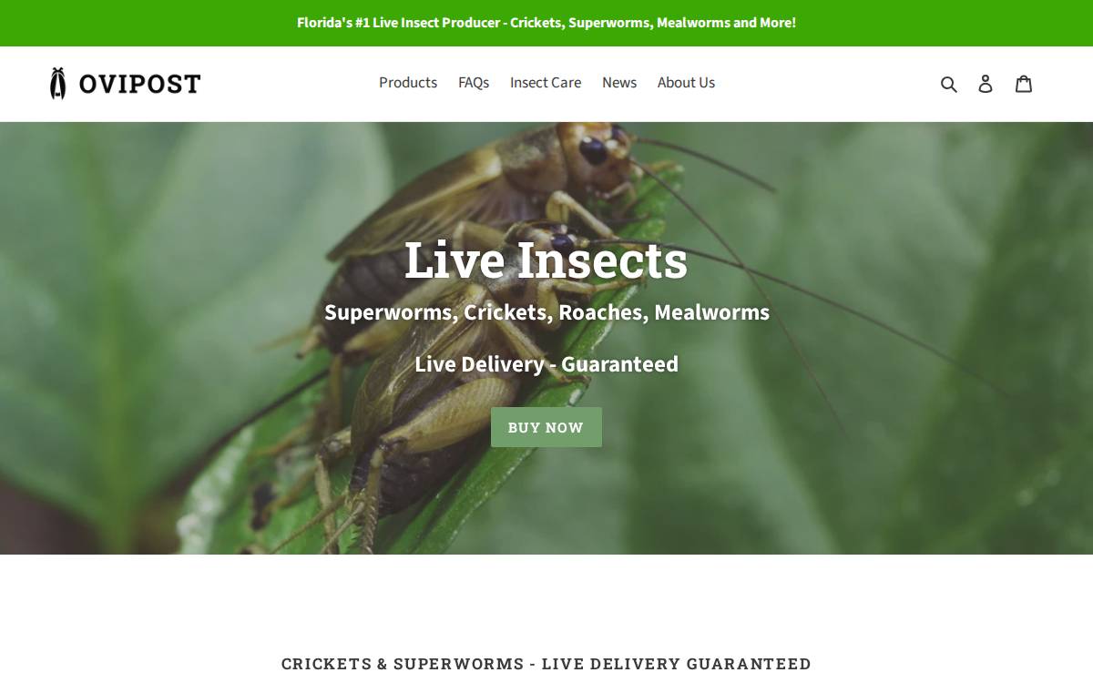 Ovipost website preview