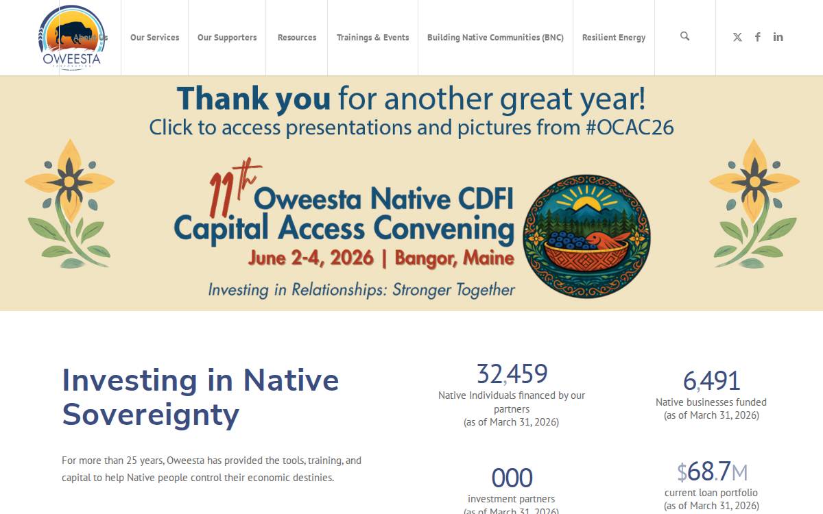 Oweesta website preview