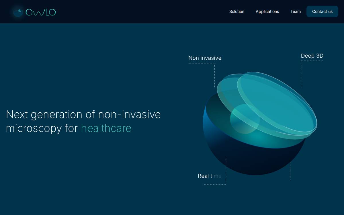 Owlo website preview