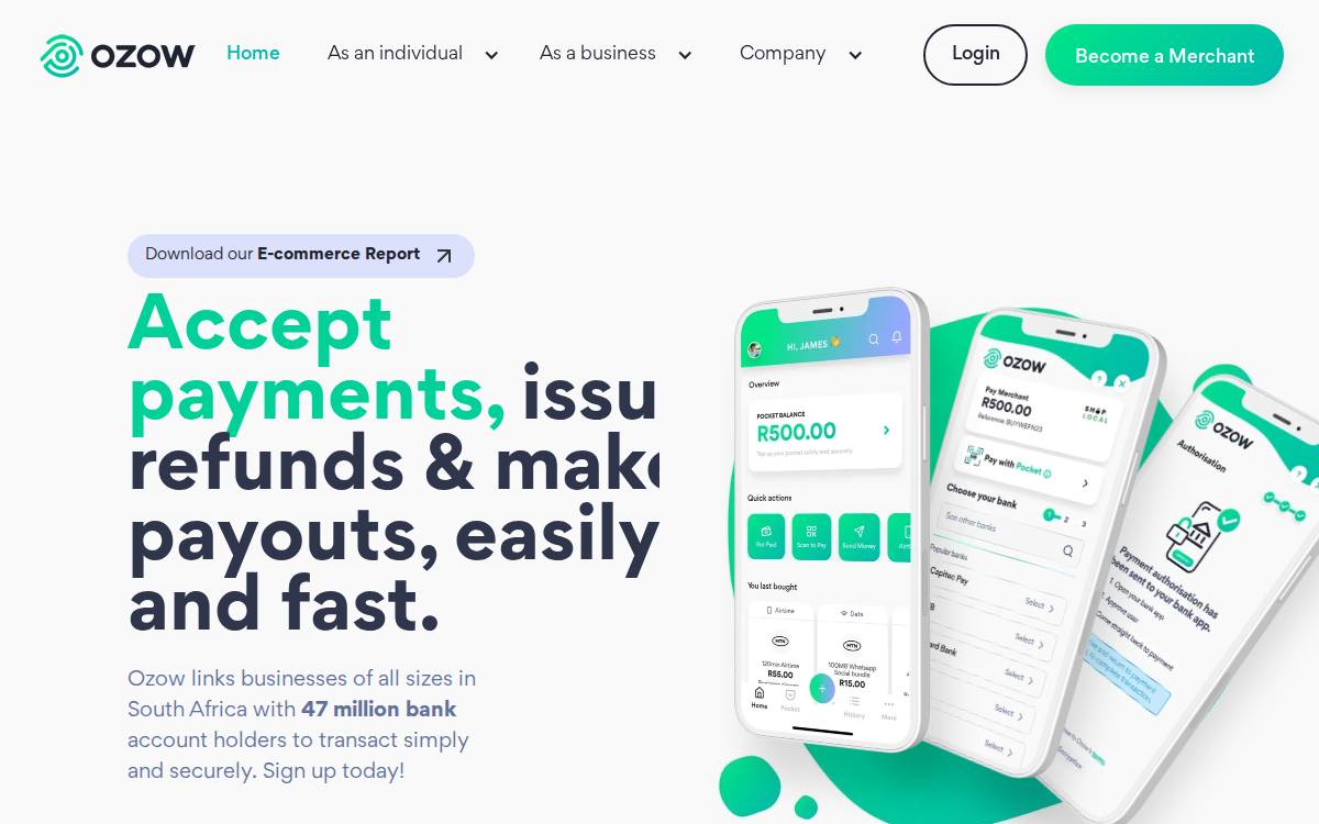 Ozow website preview