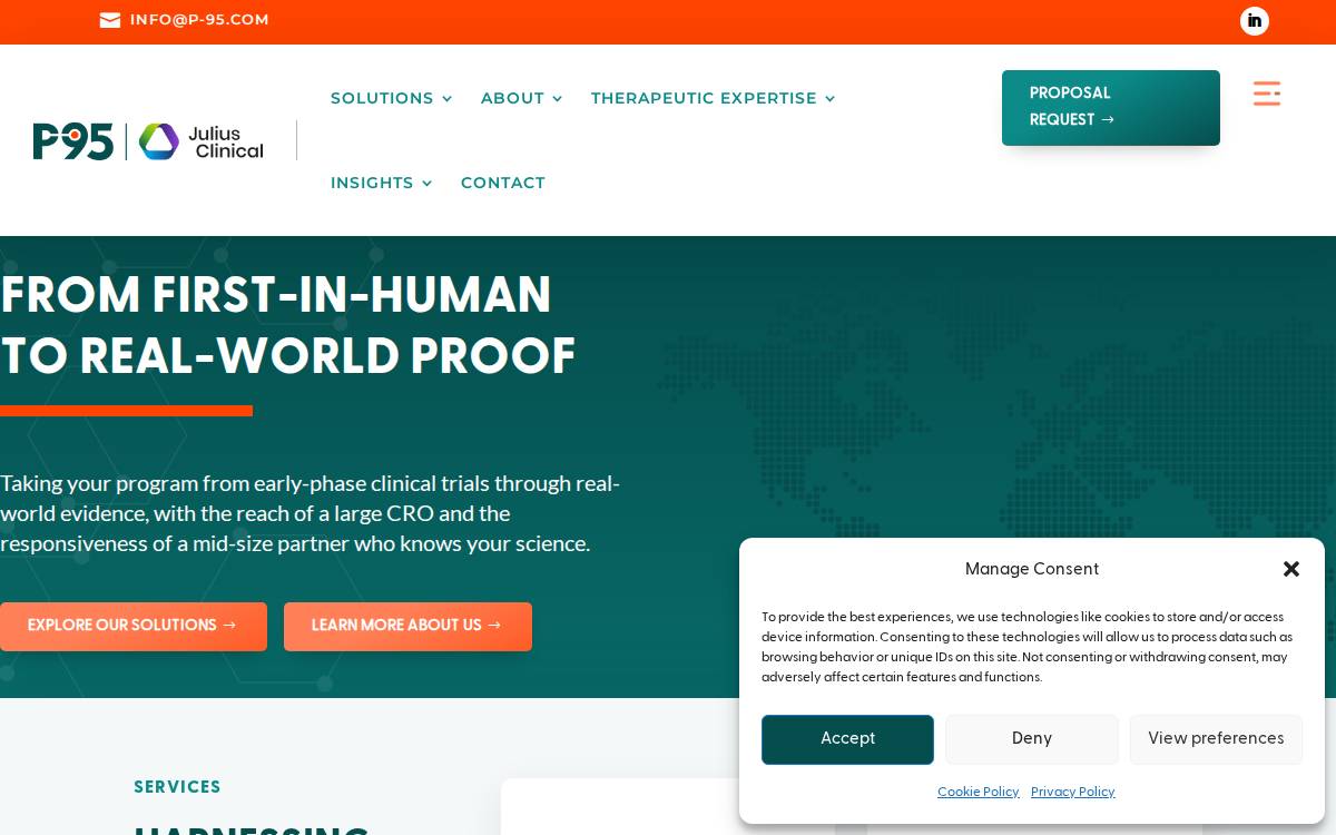 P 95 website preview