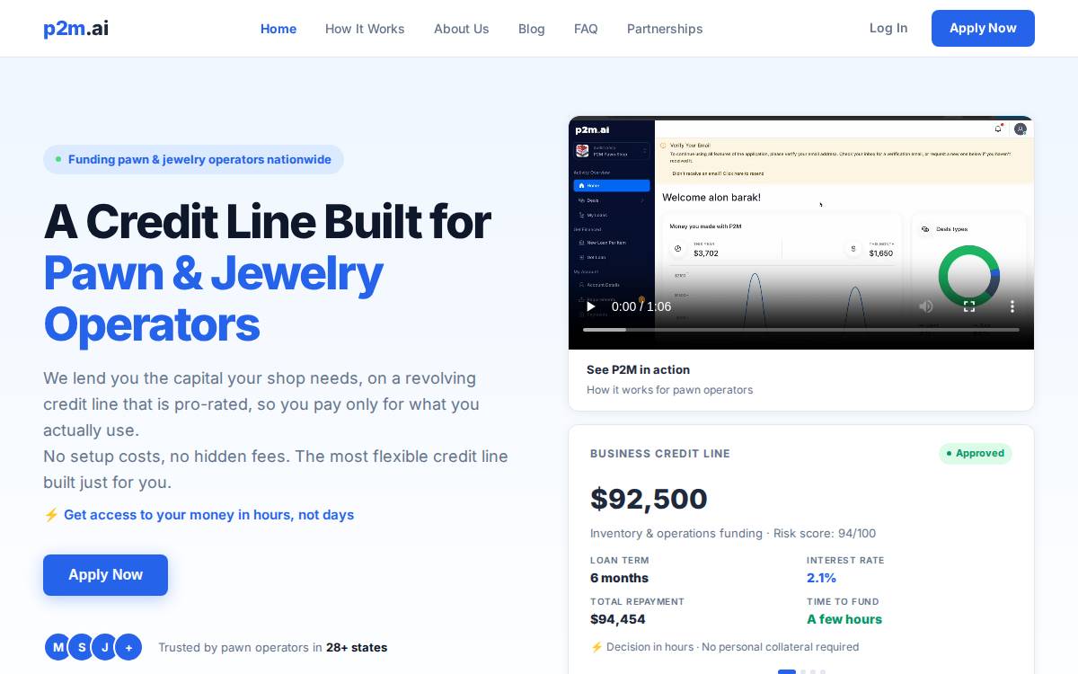 P2M website preview