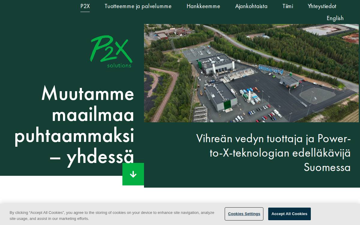 P2X website preview