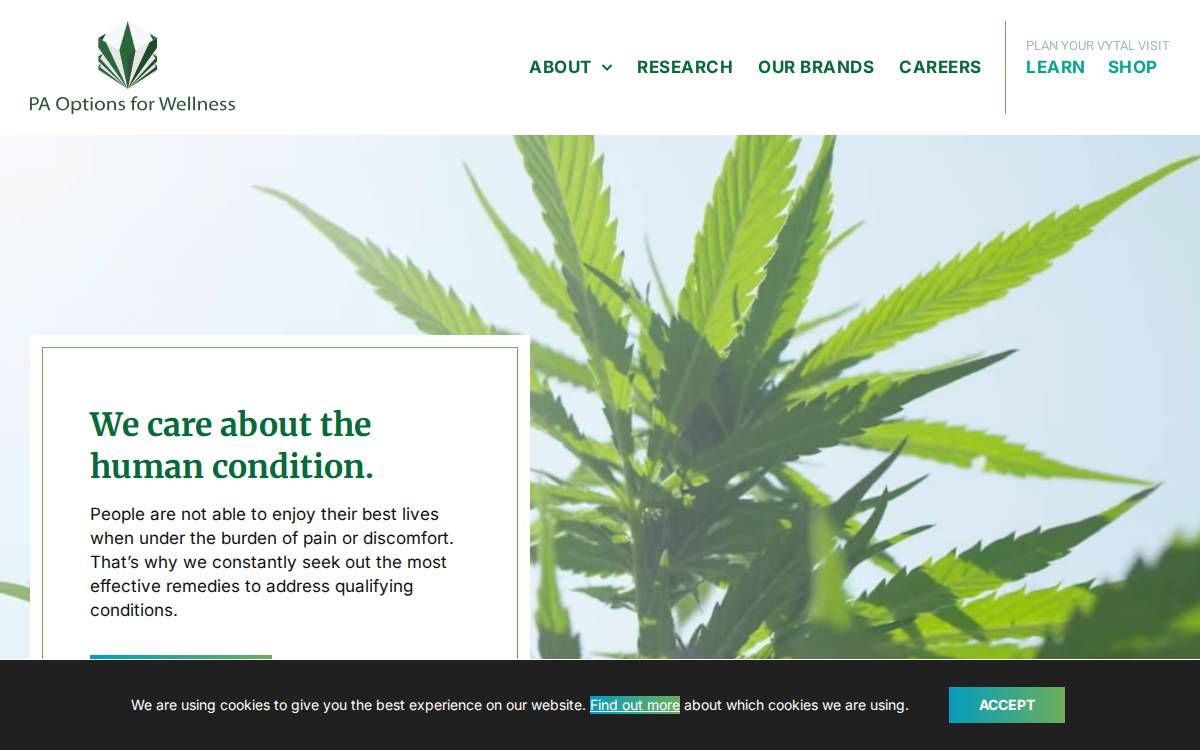 PA Options for Wellness website preview