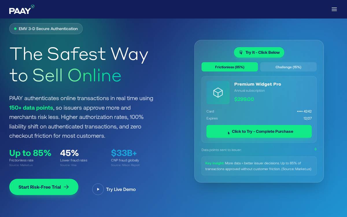 Paay website preview