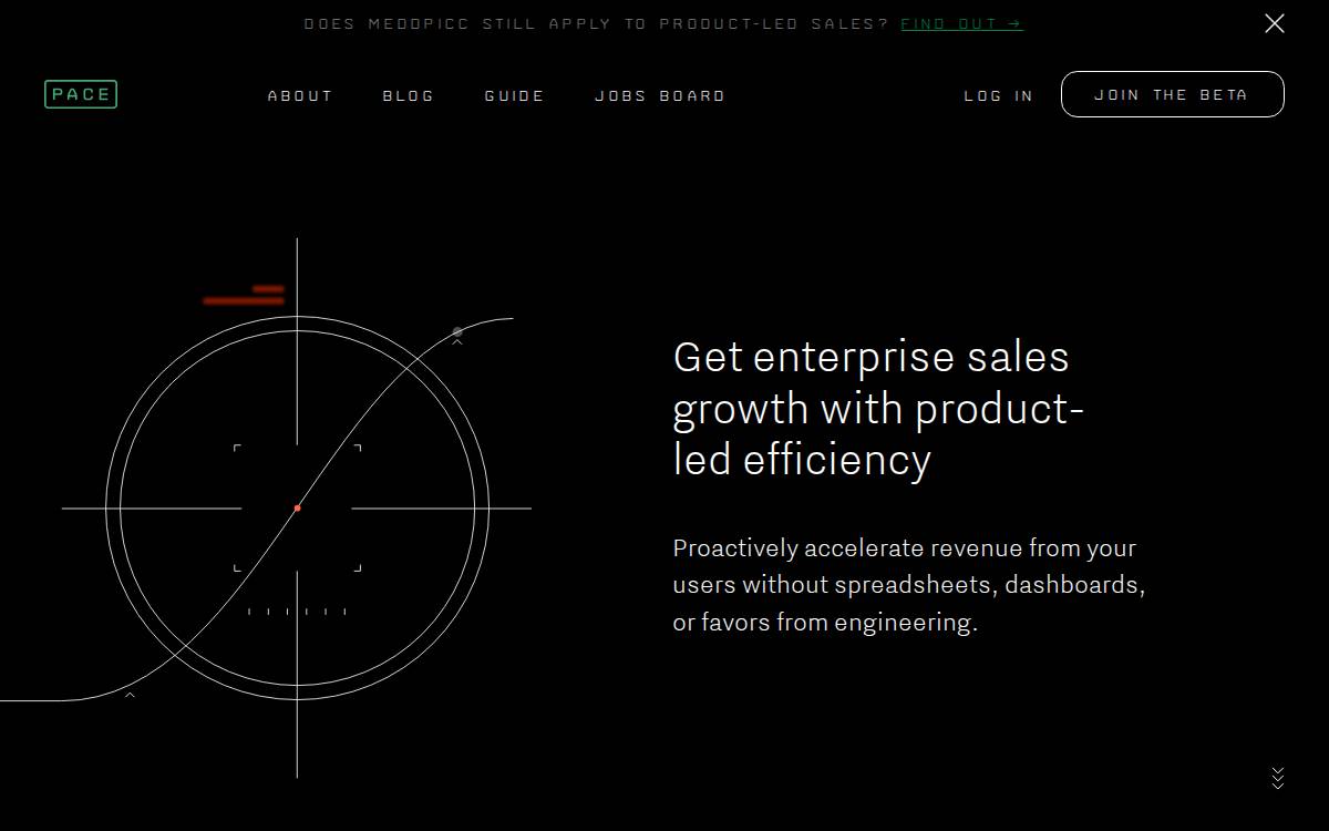 Pace website preview