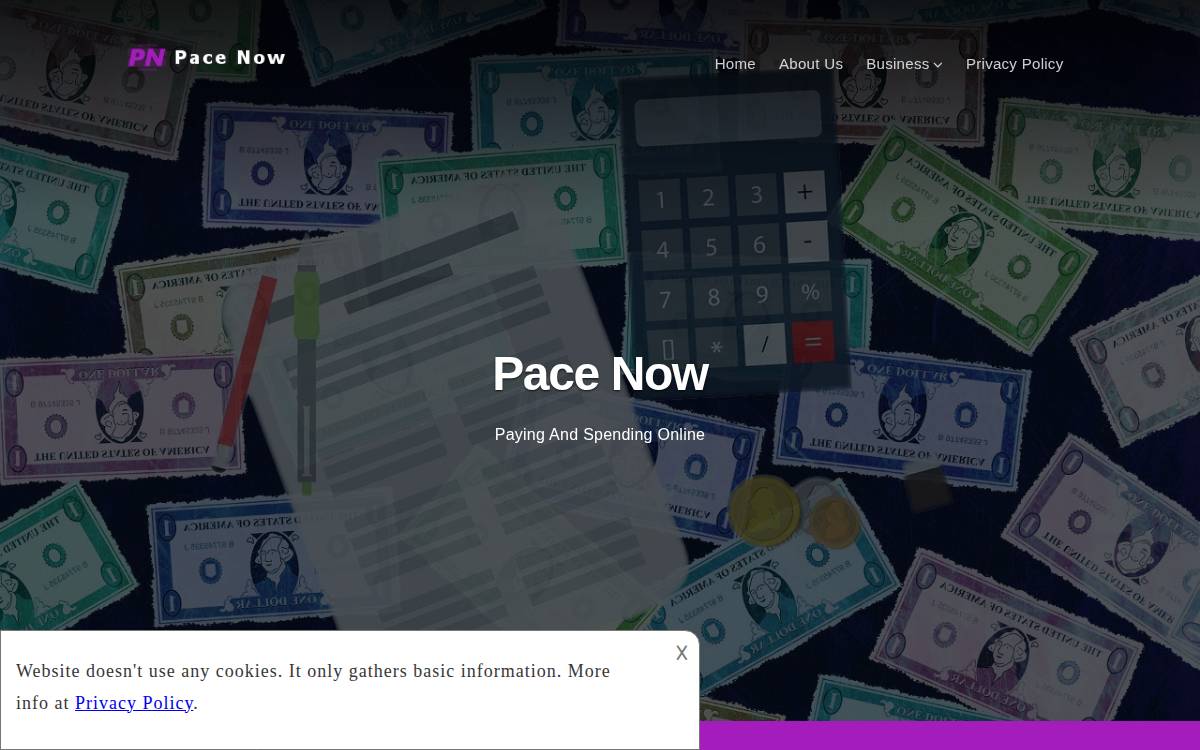 Pace website preview
