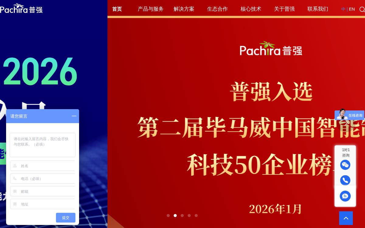 Pachira website preview