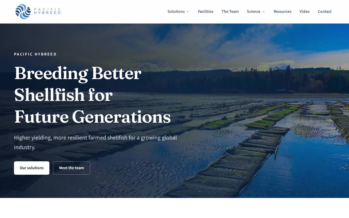 Pacific Hybreed website preview