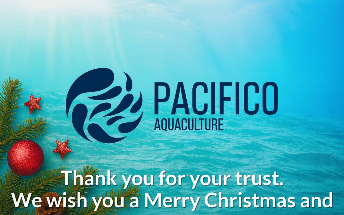 Pacifico Aquaculture website preview