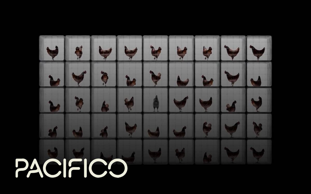 Pacifico Biolabs website preview