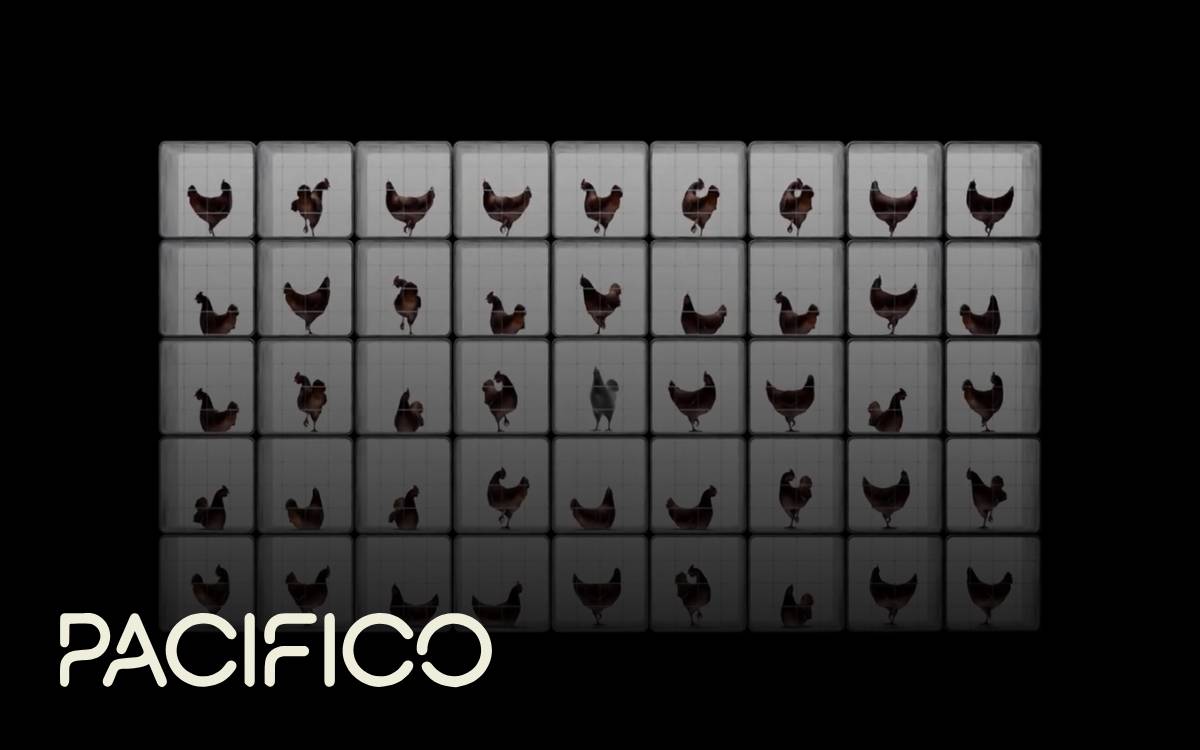 Pacifico Biolabs website preview