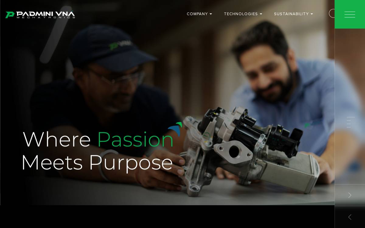 Padmini VNA website preview