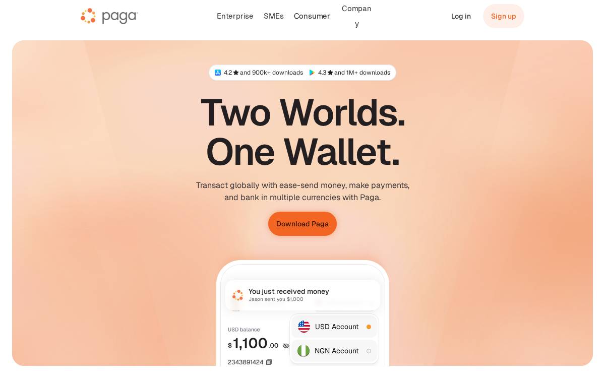 Paga website preview