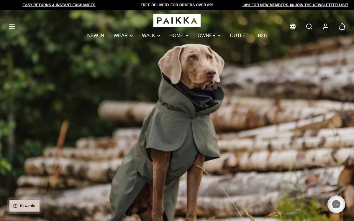 Paikka website preview