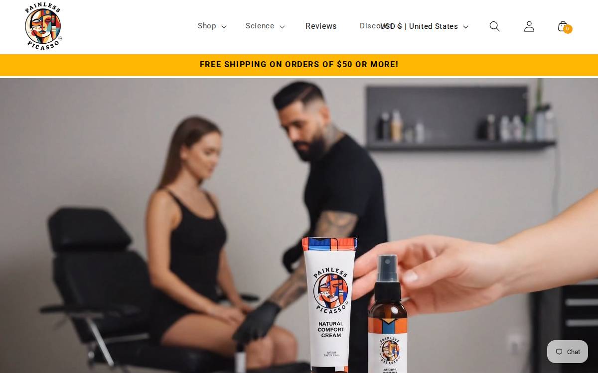 Painless Picasso website preview