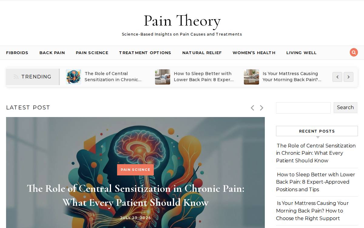 Paintheory website preview