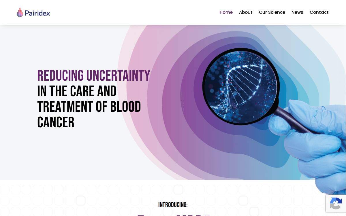 Pairidex, Inc. website preview