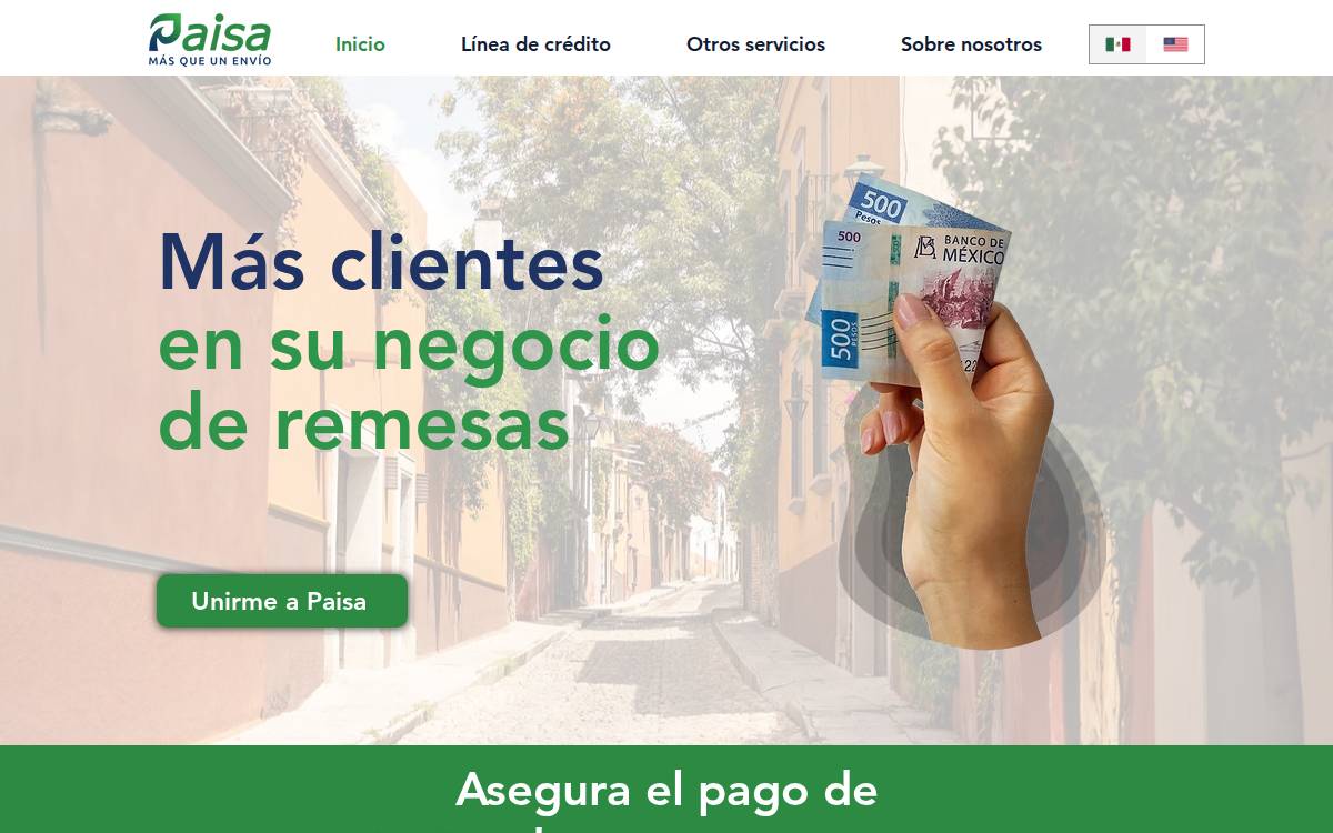 Paisa website preview