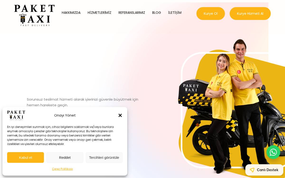 Paket Taxi website preview