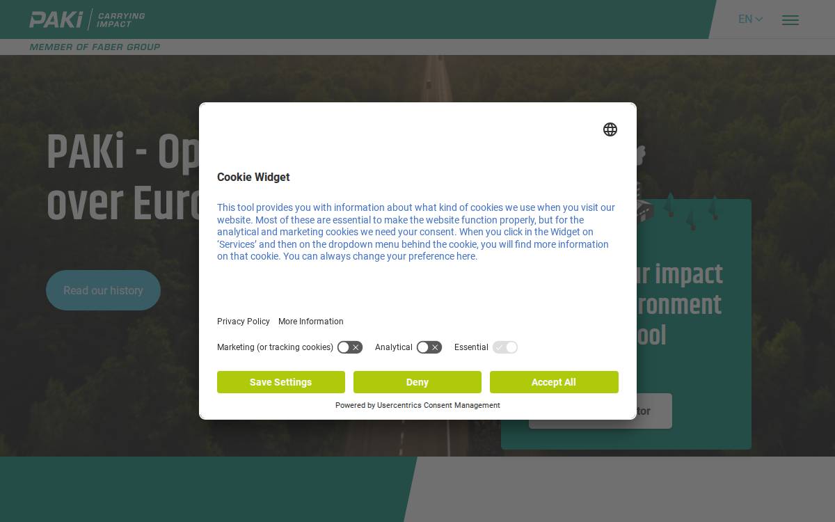 PAKI Logistics website preview