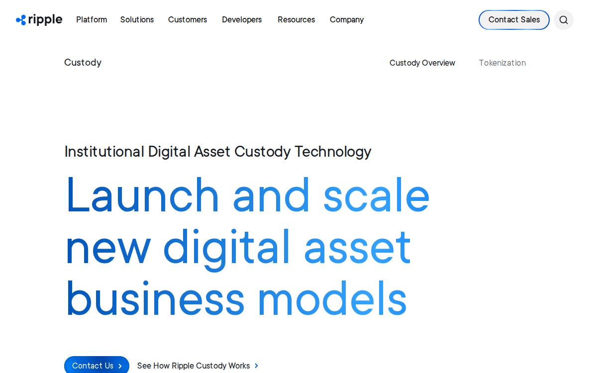 Palisade website preview