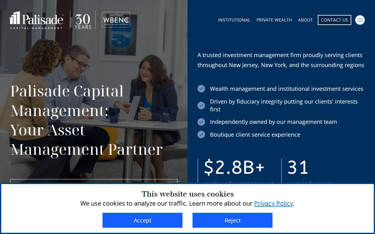 Palisade : Small Cap Core website preview