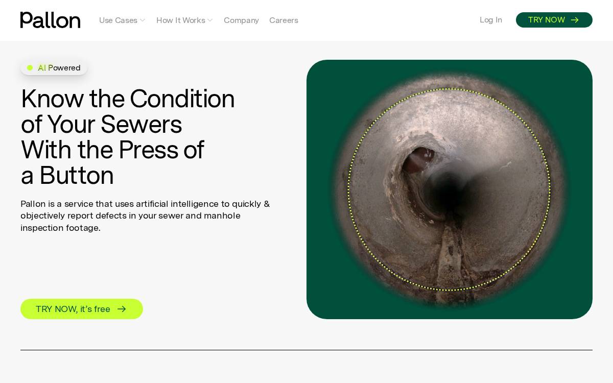 Pallon website preview