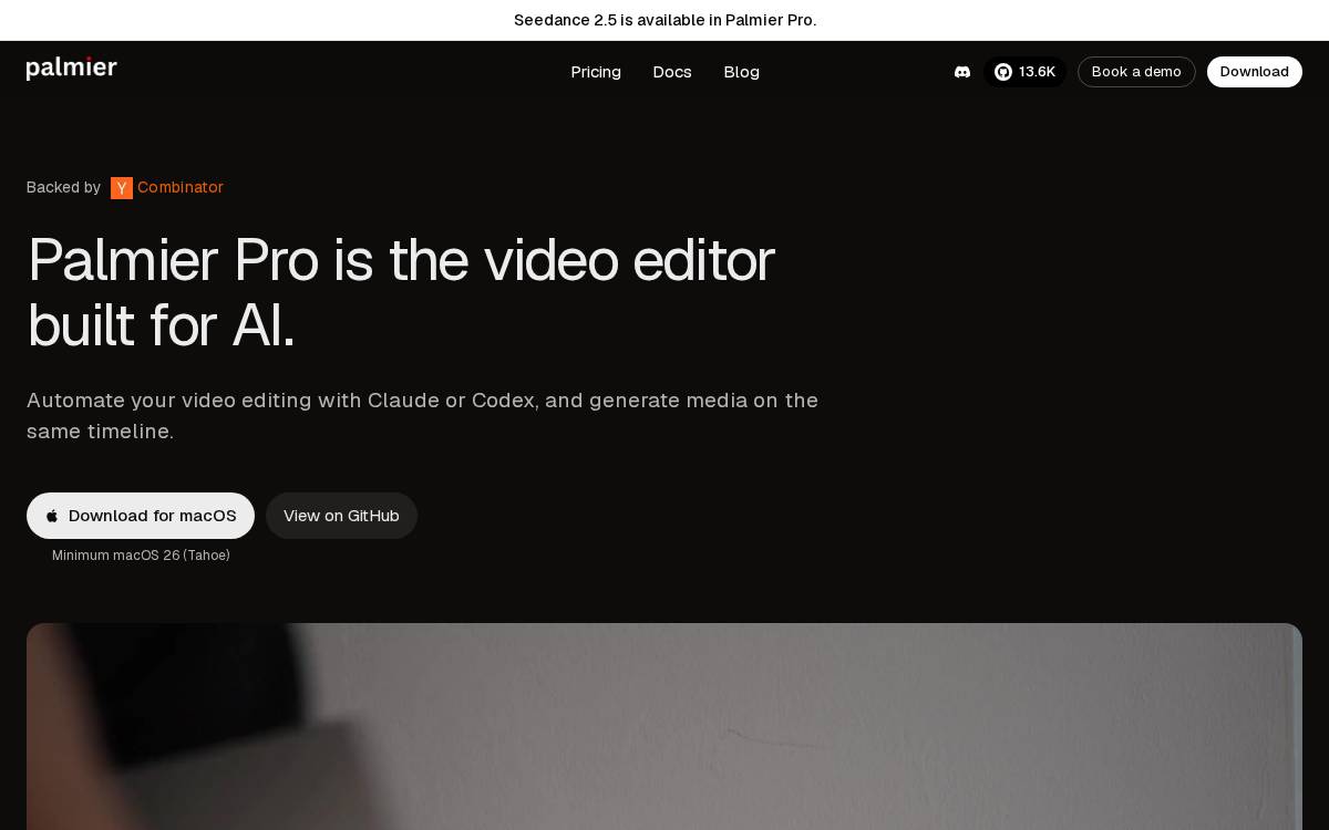 Palmier website preview