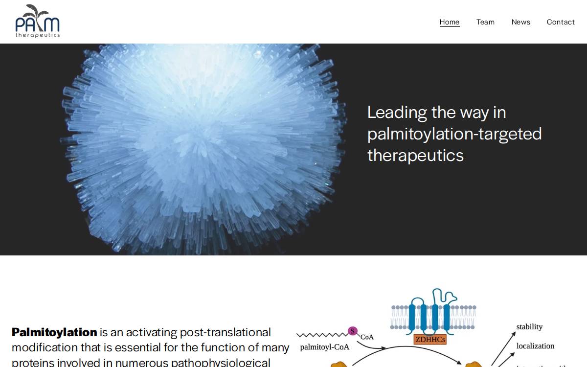 Palm Therapeutics website preview